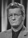 Simon Carmiggelt