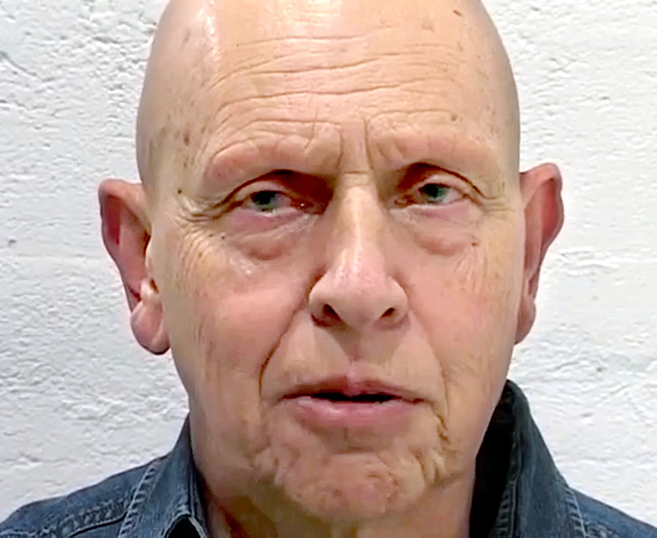 David Antin