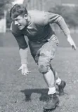 Robert Fitch