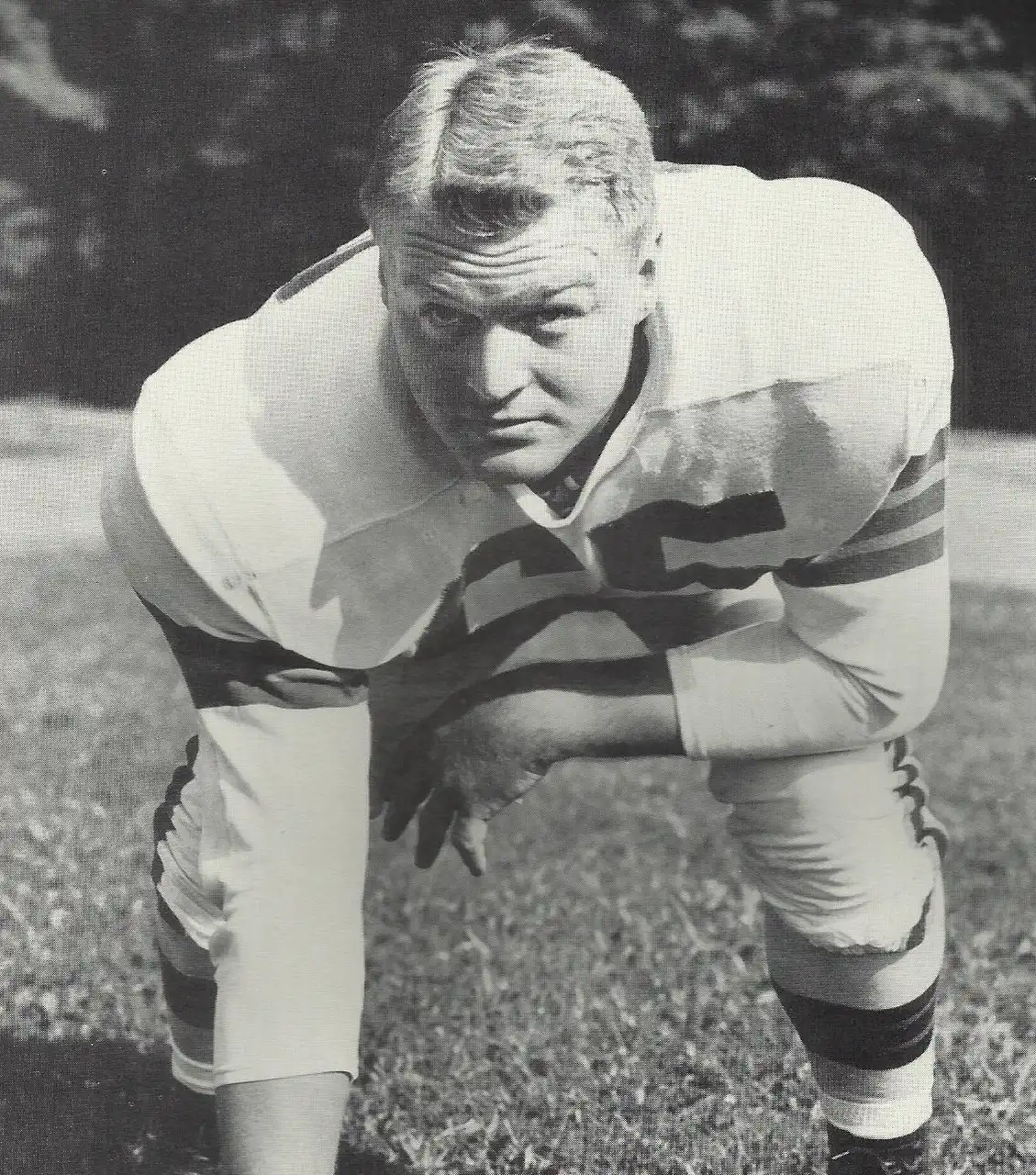 Chuck Knoll