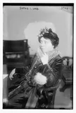 Sophie Irene Loeb