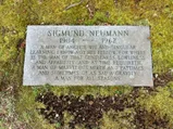 Sigmund Neumann